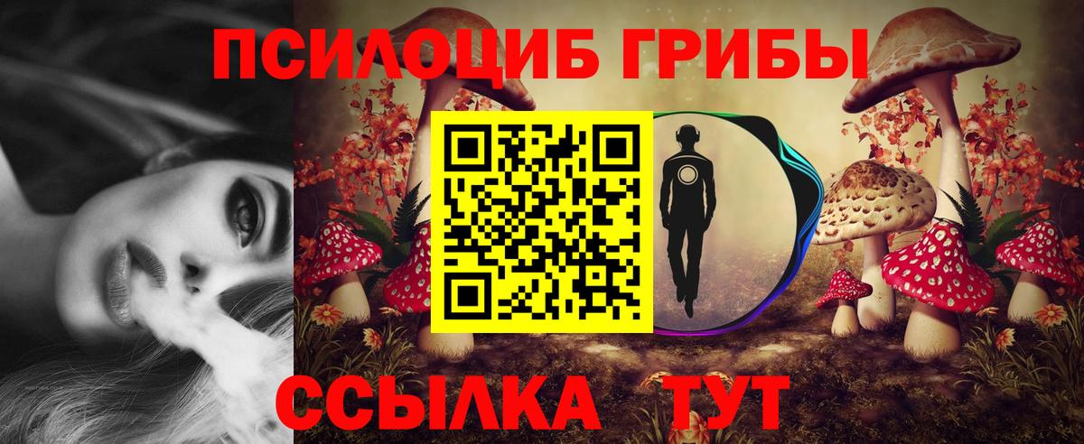 Псилоцибиновые грибы ЛСД  Вход с VPN  Ковров 