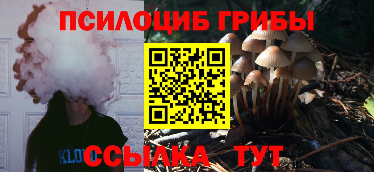 Галлюциногенные грибы мухоморы Ковров